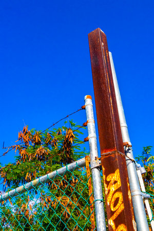 Tropical Jungle Forest Nature Enclosed Fenced Behind Bars in Playa del Carmen Quintana Roo Mexico.の写真素材