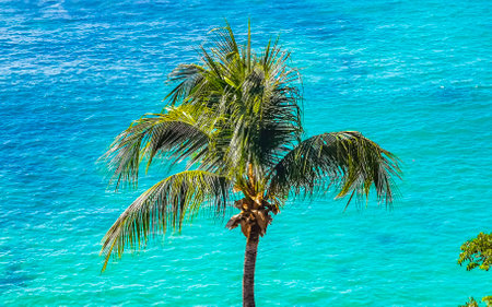 Beach sand turquoise blue water rocks cliffs boulders palm trees huge big surfer waves and panorama view on the beach Playa Carrizalillo in Puerto Escondido Oaxaca Mexico.の写真素材