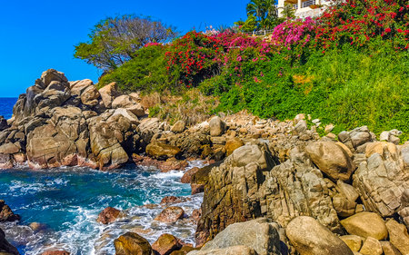 Blue turquoise water and extremely beautiful huge big surfer waves rocks cliffs stones mountains and boulders on the beach in Zicatela Puerto Escondido Oaxaca Mexico.の写真素材