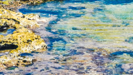 Stones rocks and corals in turquoise green and blue water on the beach in Playa del Carmen Quintana Roo Mexico.の写真素材