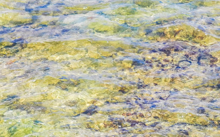 Stones rocks and corals in turquoise green and blue water on the beach in Playa del Carmen Quintana Roo Mexico.の写真素材