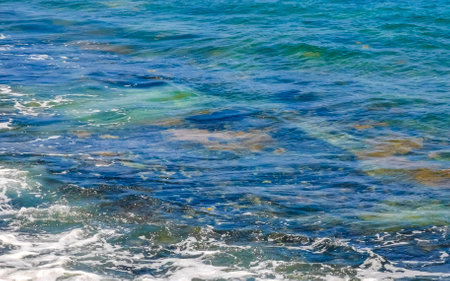 Stones rocks and corals in turquoise green and blue water on the beach in Playa del Carmen Quintana Roo Mexico.の写真素材