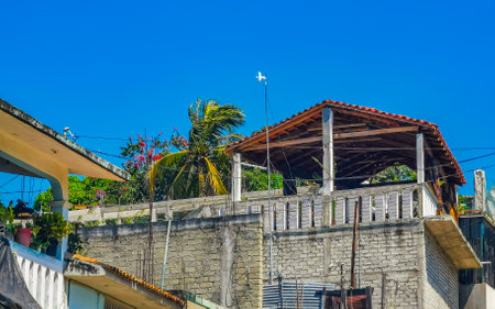 Hotels buildings and houses in tropical paradise between natural jungle palm trees in Zicatela Puerto Escondido Oaxaca Mexico.の写真素材