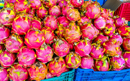 Pitaya pink dragonfruit dragnfruits pitahaya in market street food in Playa del Carmen Quintana Roo Mexico.の写真素材