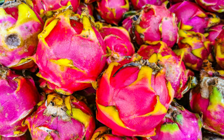 Pitaya pink dragonfruit dragnfruits pitahaya in market street food in Playa del Carmen Quintana Roo Mexico.の写真素材