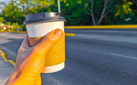 Coffee to go mug in the tropical maxican nature place.の写真素材