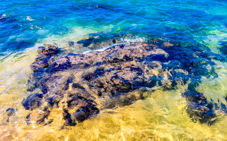 Beach sand turquoise blue water rocks cliffs boulders palm trees huge big surfer waves and panorama view on the beach Playa Manzanillo and Puerto Angelito in Puerto Escondido Oaxaca Mexico.の写真素材