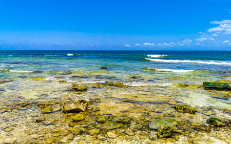 Tropical mexican caribbean beach landscape panorama with corals stones boulders rocks and clear turquoise blue water in Playa del Carmen Mexico.の写真素材