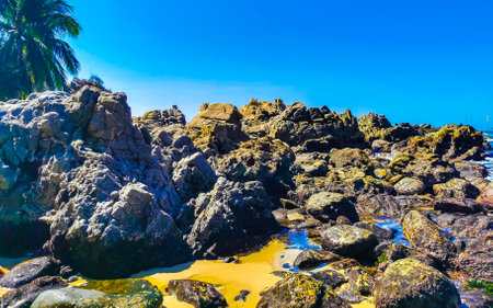 Beach sand turquoise blue water rocks cliffs boulders palm trees huge big surfer waves and panorama view on the beach Playa Manzanillo and Puerto Angelito in Puerto Escondido Oaxaca Mexico.の写真素材