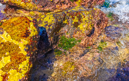 Beach sand turquoise blue water rocks cliffs boulders palm trees huge big surfer waves and panorama...