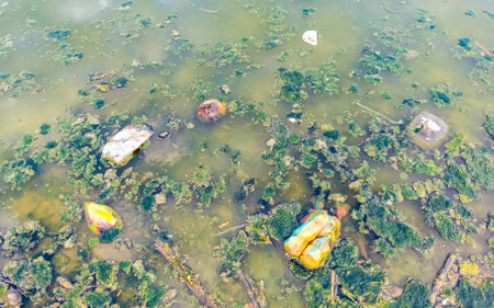 Dirty green polluted and garbage river in Zicatela Puerto Escondido Oaxaca Mexico.の写真素材