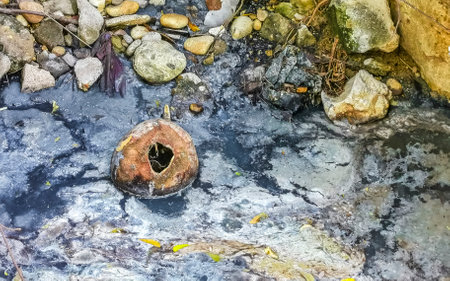 Open sewerage system in the tropical jungle ans mountains in Zicatela Puerto Escondido Oaxaca Mexico.の写真素材