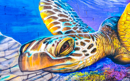 Playa del Carmen Quintana Roo Mexico March 16, 2021 Artistic walls with turtle and caribbean fish paintings and graffiti in Playa del Carmen Quintana Roo Mexico.のeditorial素材