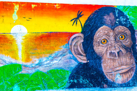 Playa del Carmen Quintana Roo Mexico April 4, 2021 Artistic walls with colorful monkey and palm paintings and graffiti in Playa del Carmen Quintana Roo Mexico.のeditorial素材