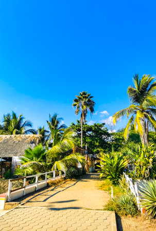 Puerto Escondido Oaxaca Mexico December 14, 2022 Typical beautiful colorful tourist street road and sidewalk with city life cars traffic buildings hotels bars restaurants and people in Zicatela Mexico.のeditorial素材