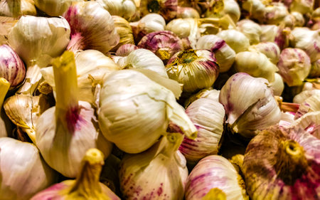 Buy fresh garlic in the supermarket in Playa del Carmen Quintana Roo Mexico.の写真素材