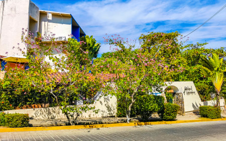 Puerto Escondido Oaxaca Mexico January 20, 2023 Typical beautiful colorful tourist street road and sidewalk with city life cars traffic buildings hotels bars restaurants and people in Zicatela Mexico.のeditorial素材