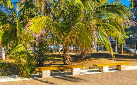 Puerto Escondido Oaxaca Mexico March 24, 2023 Typical beautiful colorful tourist street road and sidewalk with city life cars traffic buildings hotels bars restaurants and people in Zicatela Mexico.のeditorial素材