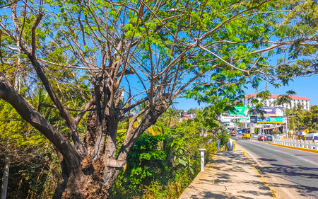 Puerto Escondido Oaxaca Mexico March 24, 2023 Typical beautiful colorful tourist street road and sidewalk with city life cars traffic buildings hotels bars restaurants and people in Zicatela Mexico.のeditorial素材