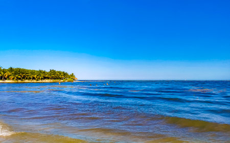 Tropical mexican caribbean beach landscape panorama with clear turquoise blue water in Playa del Carmen Mexico.の写真素材