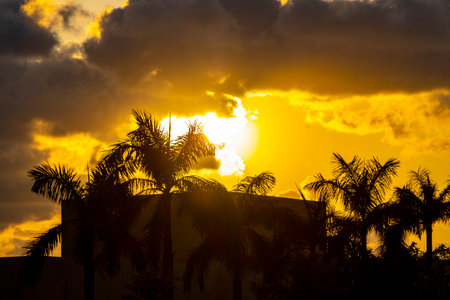 Colorful and golden sunset and sunrise in the tropical Caribbean with palm trees and clouds in Playa del Carmen Quintana Roo Mexico.の写真素材