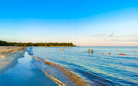 Playa del Carmen Quintana Roo Mexico May 25, 2023 Tropical Mexican Caribbean beach and cenote panorama view with a lot of fun people sun loungers parasols from Punta Esmeralda in Playa del Carmen Mexico.のeditorial素材