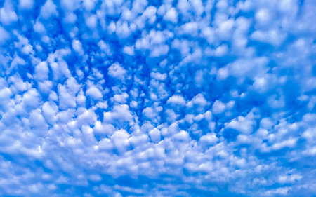 Blue sky with chemical cumulus clouds chemical sky scalar waves and chemtrails on sunny day in Playa del Carmen Mexico.の写真素材