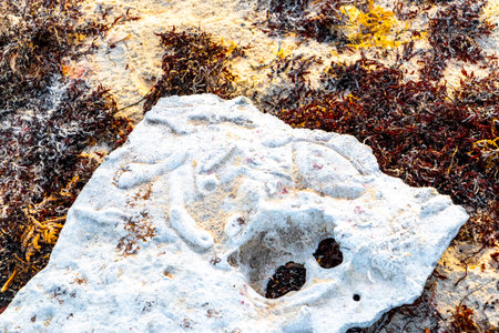Stones rocks and corals with seagrass seaweed sargazo in turquoise green and blue water on the beach in Playa del Carmen Quintana Roo Mexico.の写真素材