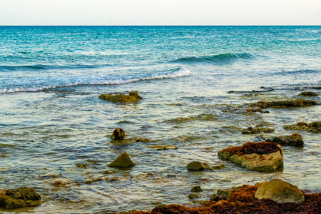 Stones rocks and corals with seagrass seaweed sargazo in turquoise green and blue water on the beach in Playa del Carmen Quintana Roo Mexico.の写真素材