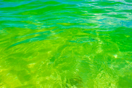 Waves water and sand at tropical Mexican beach landscape panorama and Caribbean sea with clear turquoise blue water in Playa del Carmen Mexico.の写真素材