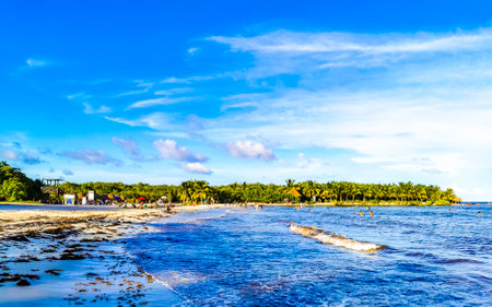 Playa del Carmen Quintana Roo Mexico July 11, 2023 Tropical Mexican Caribbean beach and cenote panorama view with a lot of fun people sun loungers parasols from Punta Esmeralda in Playa del Carmen Mexico.のeditorial素材