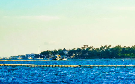 Boats yachts ships ferry ferries at jetty pier and harbor port at the tropical Mexican Caribbean beach panorama view and turquoise blue water in Playa del Carmen Quintana Roo Mexico.の写真素材