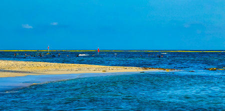 Tropical mexican caribbean beach landscape panorama with clear turquoise blue water in Playa del Carmen Mexico.の写真素材