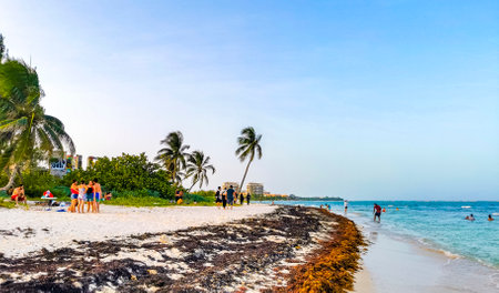 Playa del Carmen Quintana Roo Mexico July 23, 2023 Tropical Mexican Caribbean beach and cenote panorama view with a lot of fun people sun loungers parasols from Punta Esmeralda in Playa del Carmen Mexico.のeditorial素材