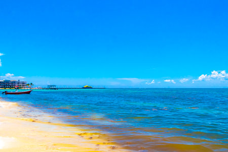 Tropical mexican caribbean beach landscape panorama with clear turquoise blue water in Playa del Carmen Mexico.の写真素材