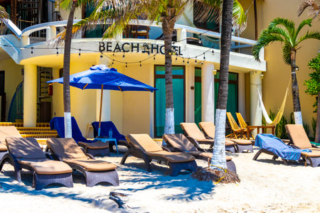 Playa del Carmen Quintana Roo Mexico August 5, 2023 Palapa thatched roofs palm trees parasols umbrellas and sun loungers at the beach resort hotel on tropical Mexican beach in Playa del Carmen Mexico.のeditorial素材