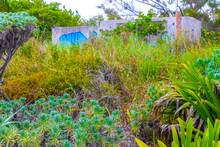Palm trees palm tropical jungle caribbean beach and ruins in Playa del Carmen Quintana Roo Mexico.のeditorial素材