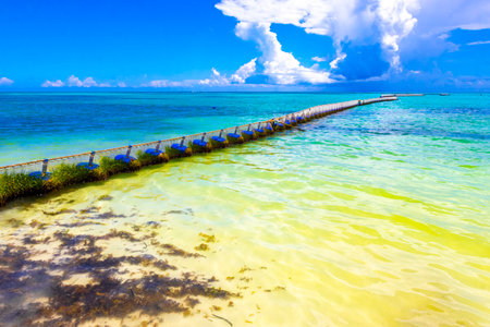Tropical Mexican Caribbean beach and sea with Sargazo seaweed sea weed net rope and buoys in clear turquoise blue water in Playa del Carmen Mexico.の写真素材