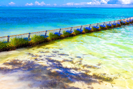 Tropical Mexican Caribbean beach and sea with Sargazo seaweed sea weed net rope and buoys in clear turquoise blue water in Playa del Carmen Mexico.の写真素材