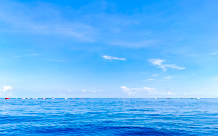 Huge beautiful whale shark swims on the water surface on boat tour with dive and snorkel in Cancun Quintana Roo Mexico.の写真素材