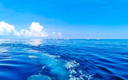 Huge beautiful whale shark swims on the water surface on boat tour with dive and snorkel in Cancun Quintana Roo Mexico.の写真素材