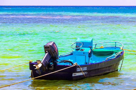 Playa del Carmen Quintana Roo Mexico August 05, 2023 Boat yacht catamaran ship ferry jetty pier and harbor at the tropical Mexican Caribbean beach panorama view and turquoise blue water in Playa del Carmen Mexico.のeditorial素材