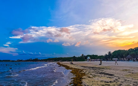 Awesome amazing and colorful sunset sunrise at the tropical Mexican Caribbean beach landscape panorama with clear turquoise blue water resorts and palm trees in Playa del Carmen Mexico.のeditorial素材