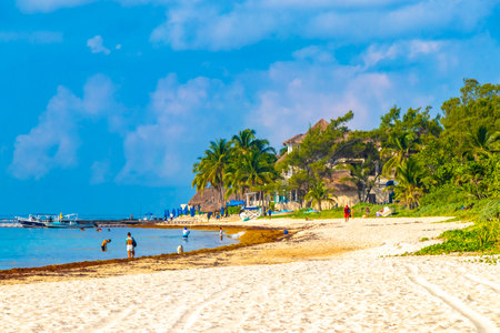 Playa del Carmen Quintana Roo Mexico August 5, 2023 Tropical Mexican Caribbean beach and sea with a lot of fun people sun loungers parasols turquoise water in Playa del Carmen Mexico.のeditorial素材