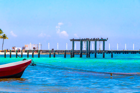 Playa del Carmen Quintana Roo Mexico August 05, 2023 Boat yacht catamaran ship ferry jetty pier and harbor at the tropical Mexican Caribbean beach panorama view and turquoise blue water in Playa del Carmen Mexico.のeditorial素材
