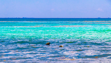 Tropical Mexican Caribbean sea and beach landscape panorama view to Cozumel island cityscape with clear turquoise blue water in Playa del Carmen Quintana Roo Mexico.の写真素材