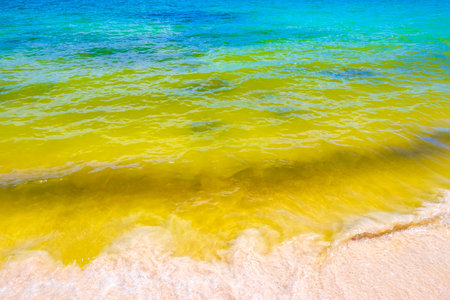 Waves water and sand at tropical Mexican beach landscape panorama and Caribbean sea with clear turquoise blue water in Playa del Carmen Mexico.の写真素材