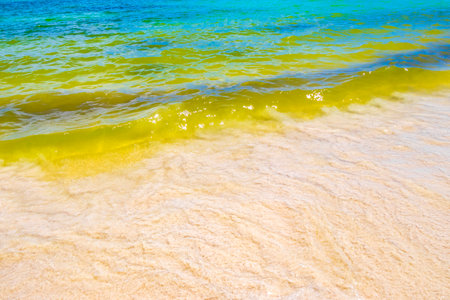 Waves water and sand at tropical Mexican beach landscape panorama and Caribbean sea with clear turquoise blue water in Playa del Carmen Mexico.の写真素材