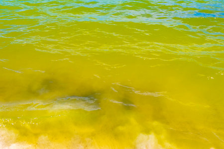 Waves water and sand at tropical Mexican beach landscape panorama and Caribbean sea with clear turquoise blue water in Playa del Carmen Mexico.の写真素材