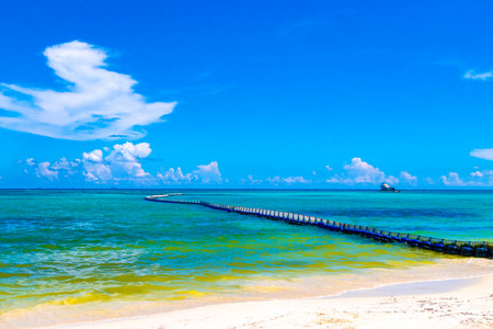 Tropical Mexican Caribbean beach with Sargazo seaweed sea weed trap catcher net in clear turquoise blue water in Playa del Carmen Mexico.の写真素材